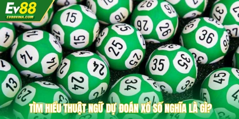 Tìm hiểu thuật ngữ dự đoán xổ số nghĩa là gì?